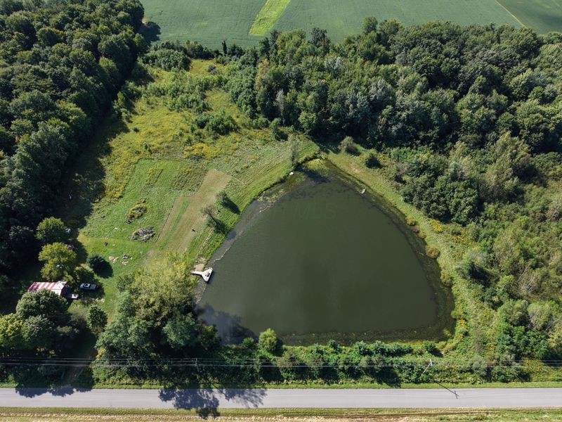 5162 Road 23, Cardington, OH 43315 Photo 14