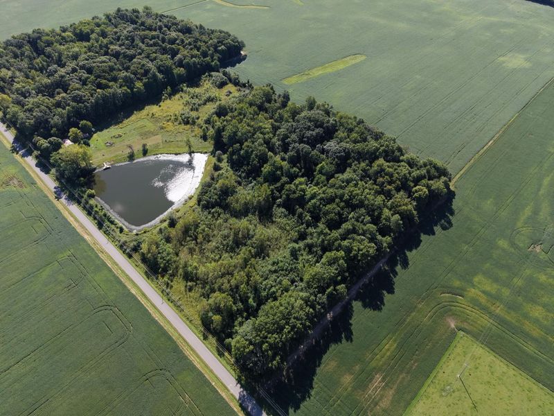 5162 Road 23, Cardington, OH 43315 Photo 3