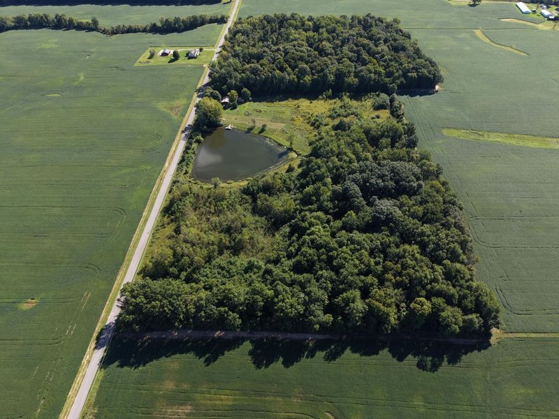 5162 Road 23, Cardington, OH 43315 Photo 4