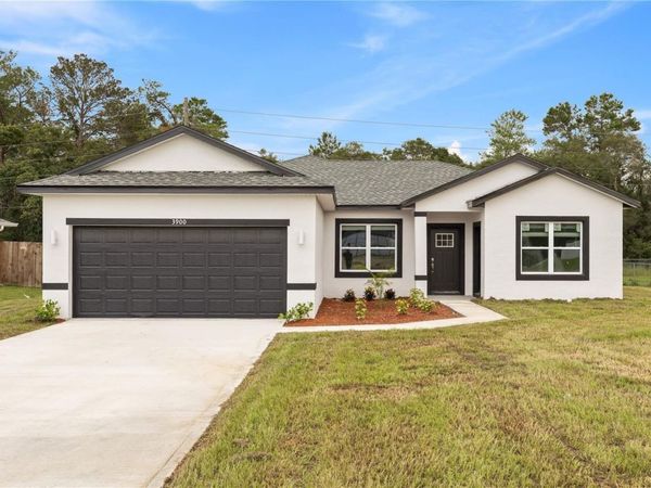 3900 SW 133RD LOOP , OCALA, FL 34473