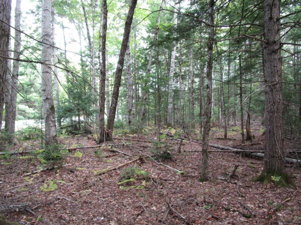 2B N Howland Road NW, Howland, ME 04448