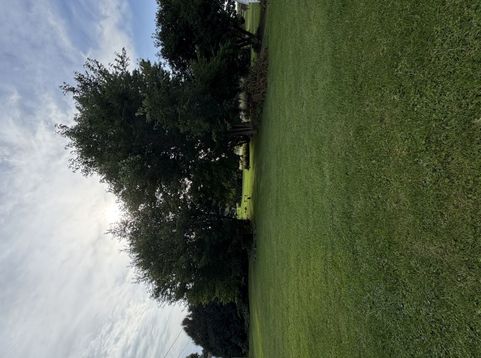 Main Photo