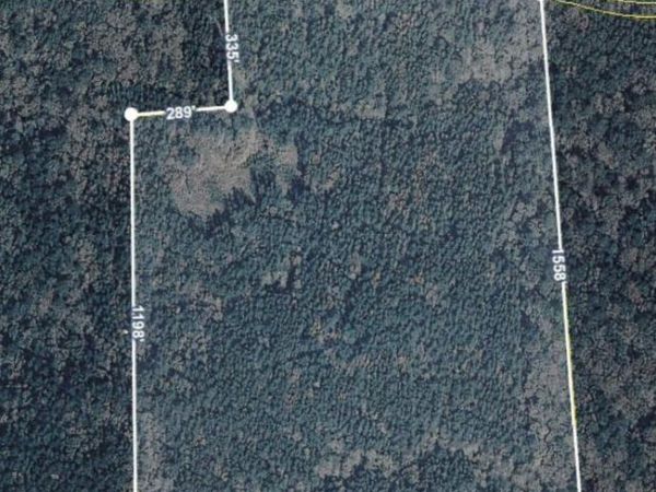11619 La Hwy 421, St Francisville, LA 70775