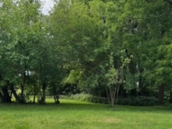 Webster , Waterloo, IA 50703
