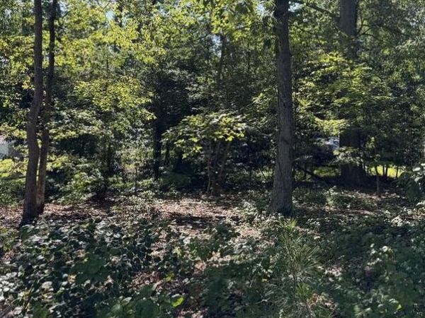 Lot 45 McCormick Drive, REEDVILLE, VA 22539