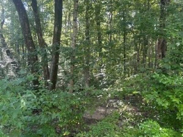 157 Highway 157, Rising Fawn, GA 30738