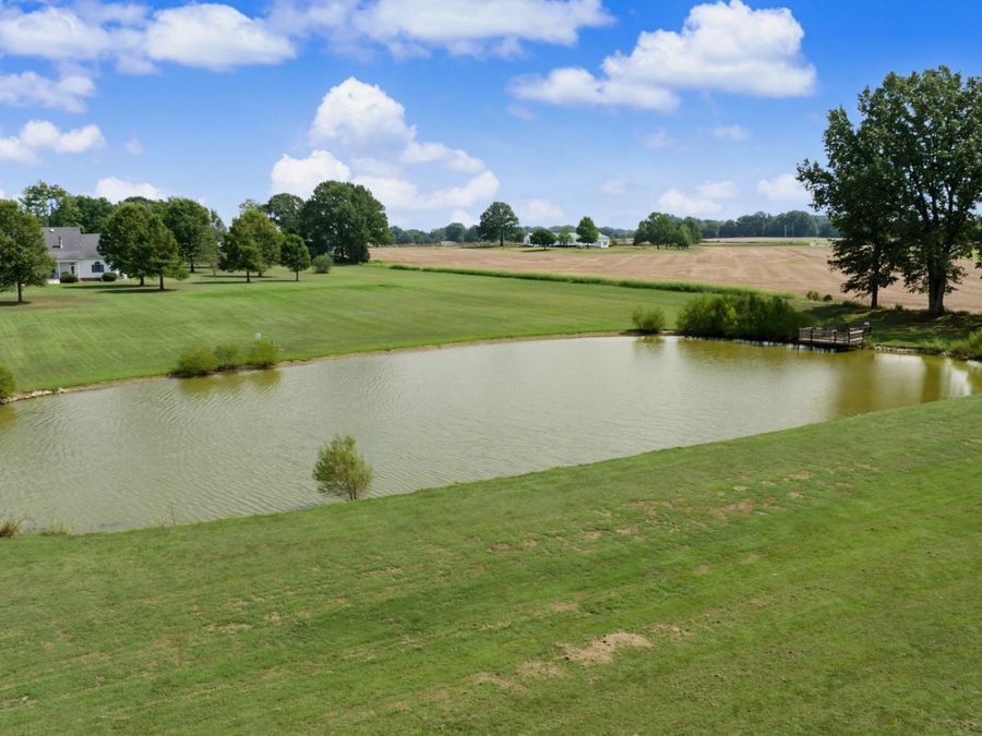 Property Image 60