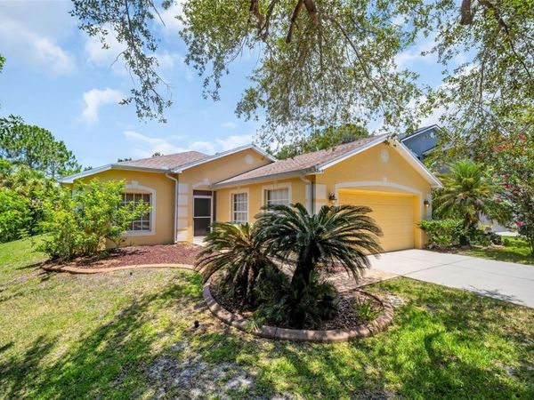 12415 RUSTIC VIEW COURT , TAMPA, FL 33635