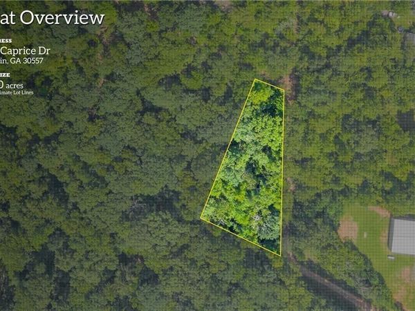 311 Caprice Drive , Martin, GA 30557