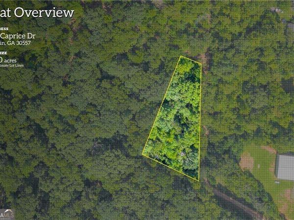 311 Caprice Drive, Martin, GA 30557