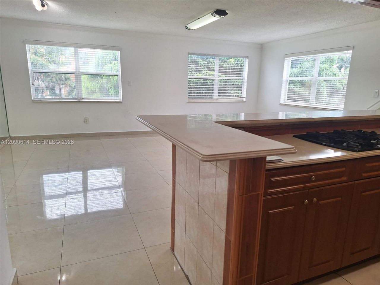 1300 W 53rd St, Unit 38, Hialeah, FL 33012 Photo