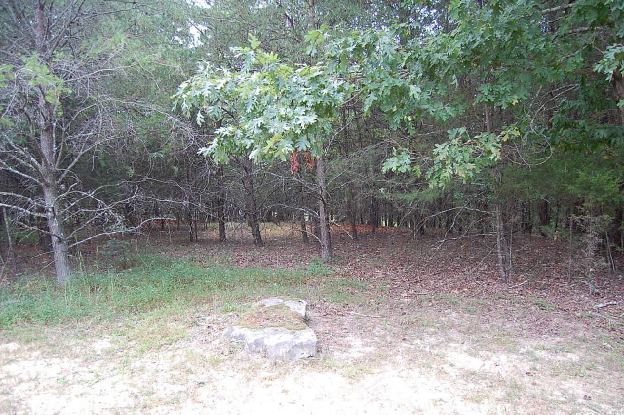 36 Bluff View Drive, Dunlap, TN 37327 Main Photo
