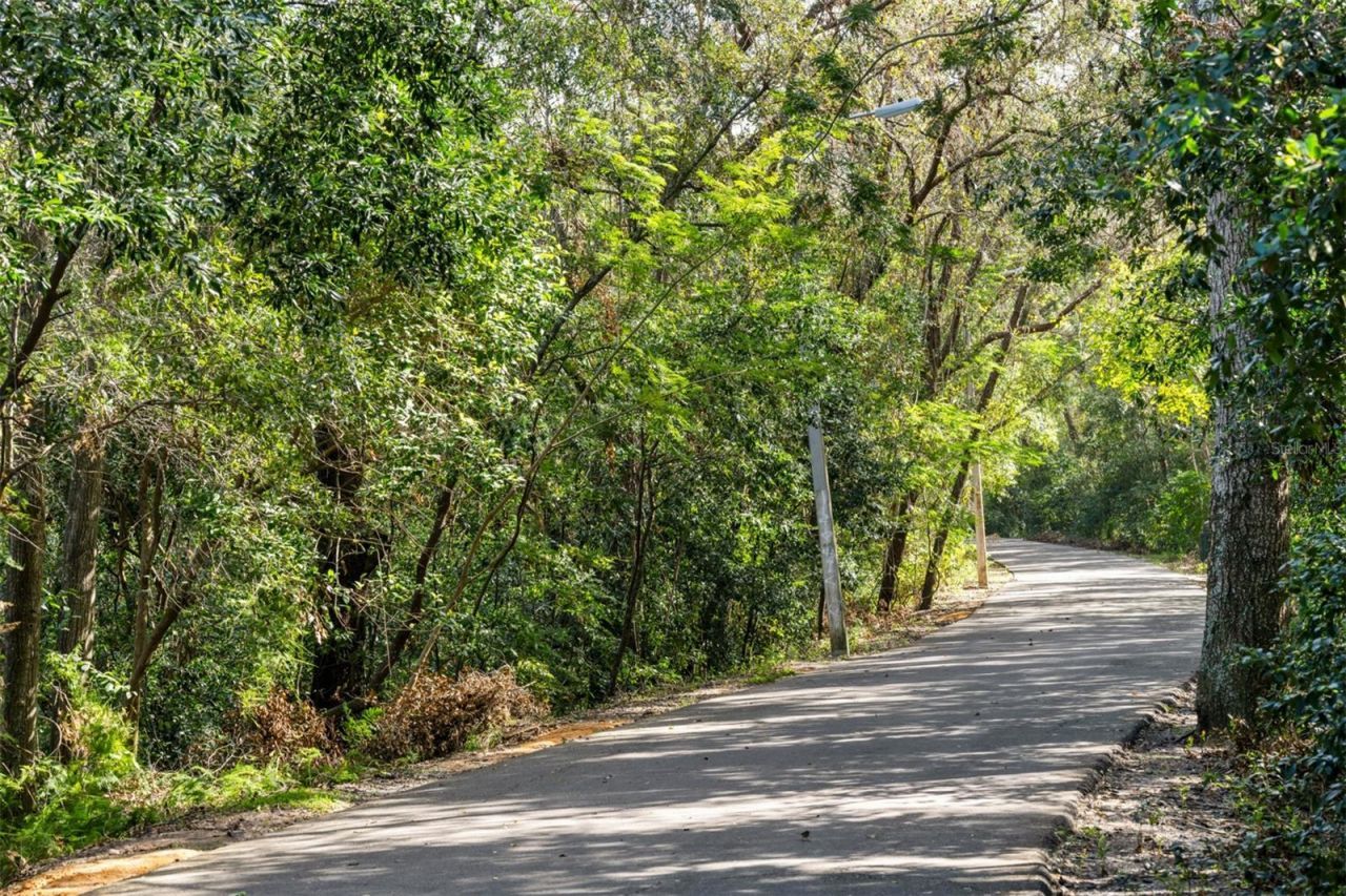 370 Free Range Drive , Groveland, FL 34736 Photo