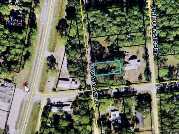 xx Alapaha Avenue , Panacea, FL 32346