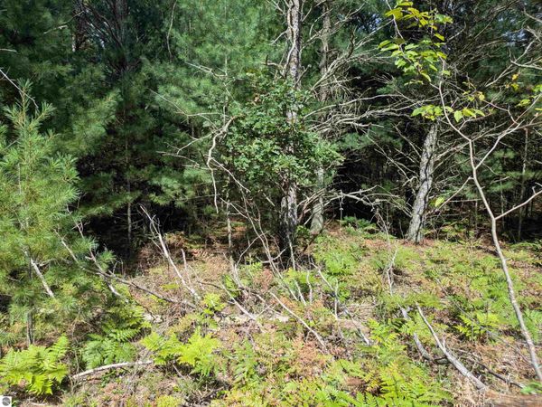 Forest Lake Drive N, Alger, MI 48610