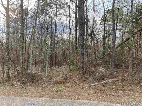 OLD UNION RD, Adamsville, TN 38310
