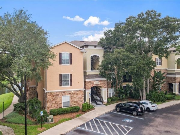 10105 COURTNEY OAKS CIRCLE , Unit 203, TAMPA, FL 33619