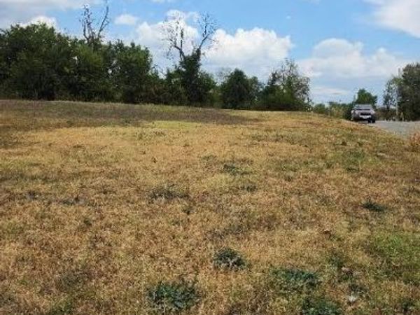 549 Main Street , Lebanon, MO 65536