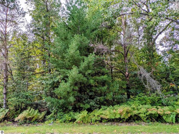 Forest Lake Drive S, Alger, MI 48610