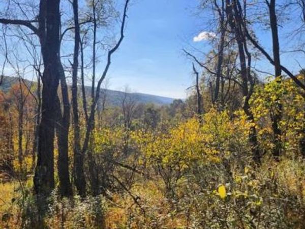 0 OFF NATURES SYMPHONY , IMLER, PA 16655