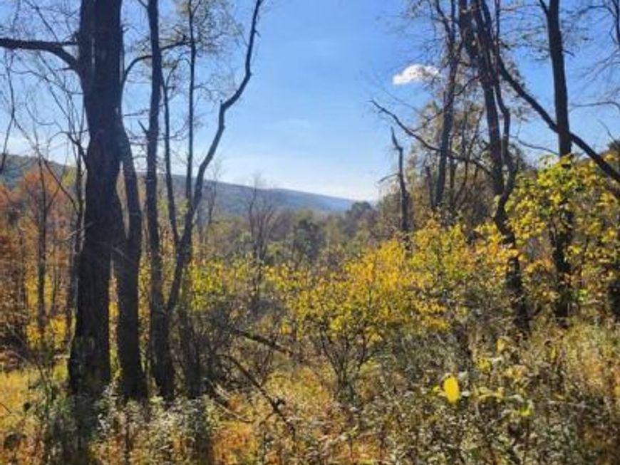 0 Off Natures Symphony , Imler, PA 16655 Main Photo