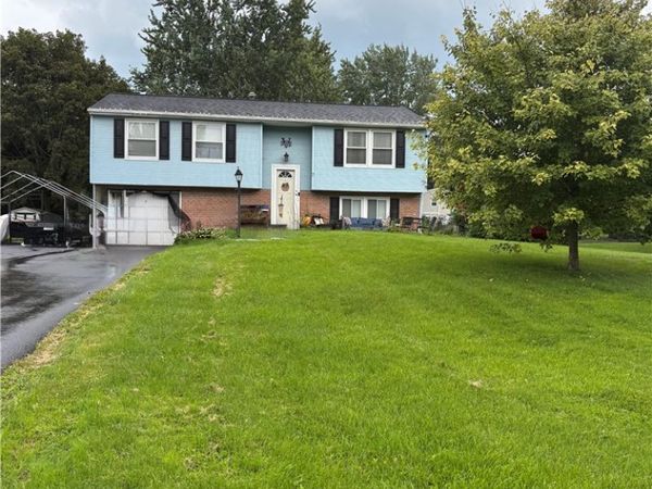 7 Minute Man, Rochester, NY 14624