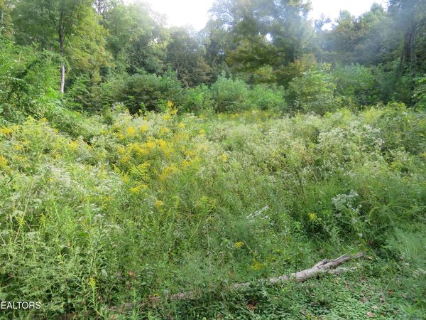 0 Watauga Rd, Cookeville, TN 38506