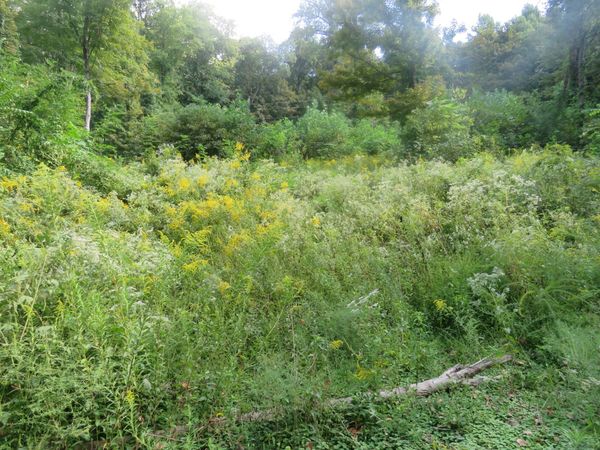 0 Watauga Road , Cookeville, TN 38506