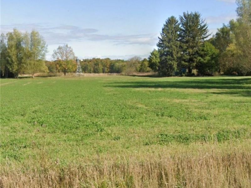 39136 State Route 18, Wellington, OH 44090 Photo 3