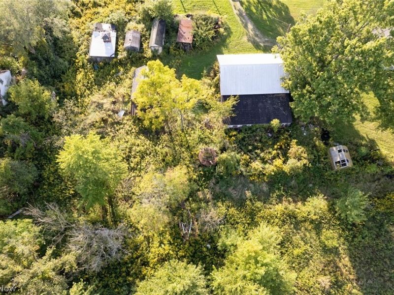 14401 Baumhart Road, Oberlin, OH 44074 Photo 19