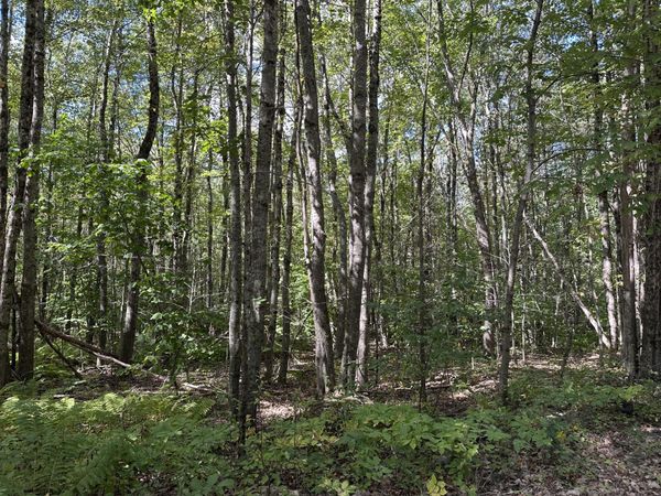 L 35-3 Jones Hill Road , Appleton, ME 04862