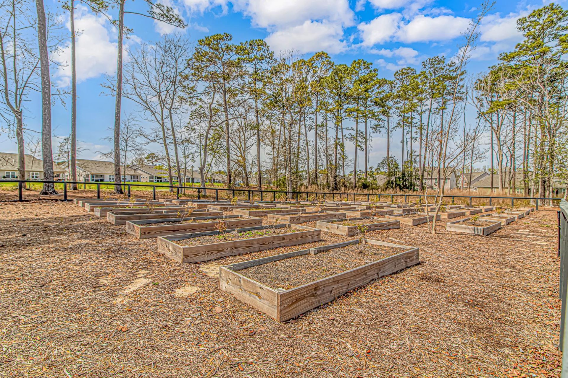 498 Mcalister Dr. Photo 37
