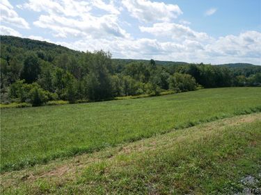 8050 Bailey Lake Road, Waterville, NY 13480
