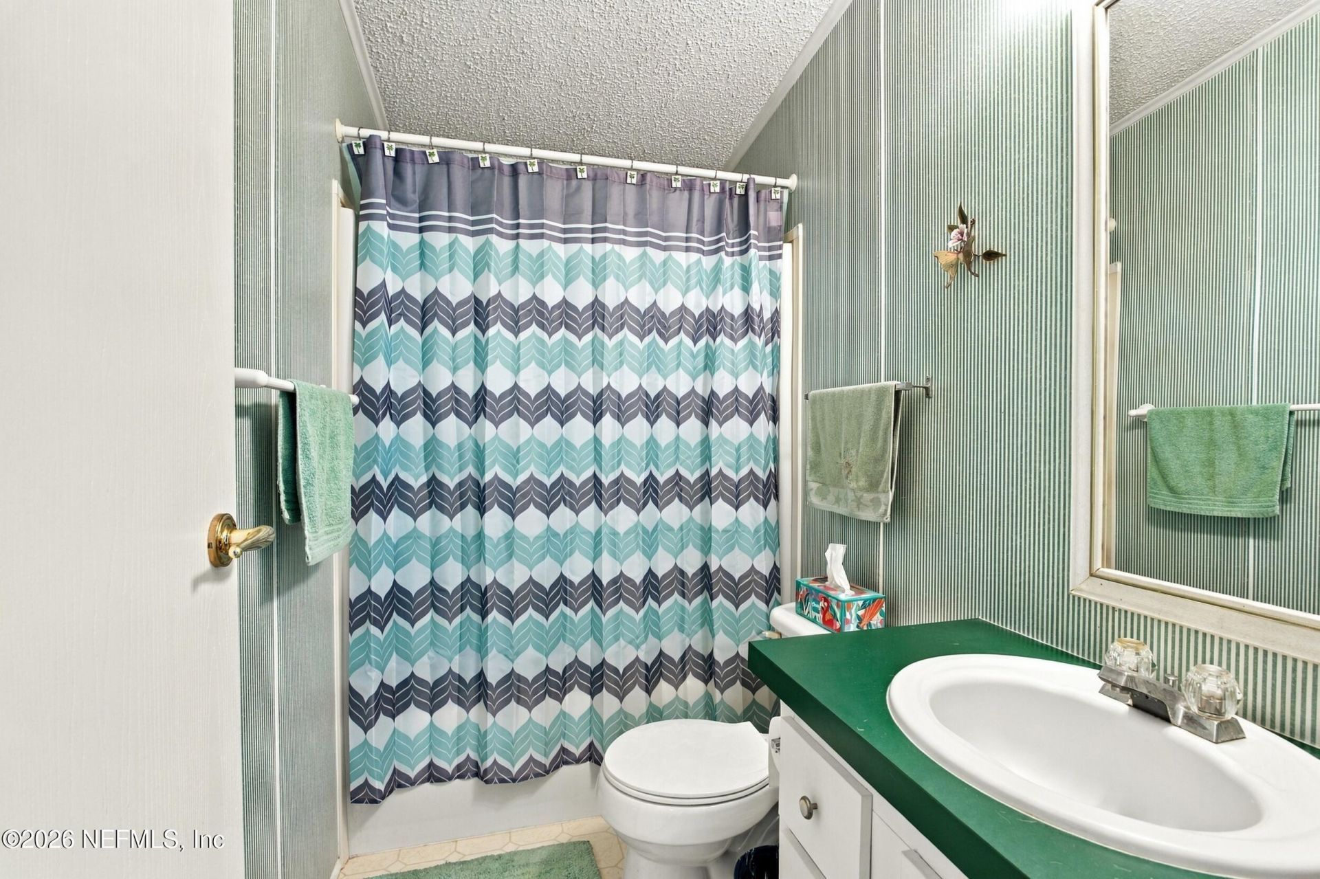 119 Spanish Trail, Georgetown, FL 32139 Photo