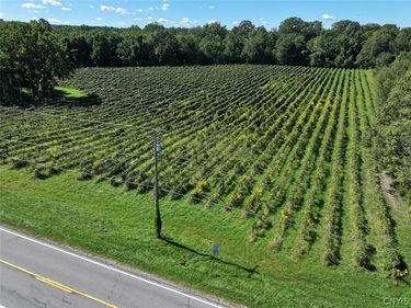 Bennett State Road , Forestville, NY 14062
