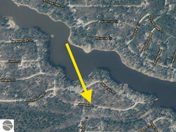 Whitetail Drive, Alger, MI 48610
