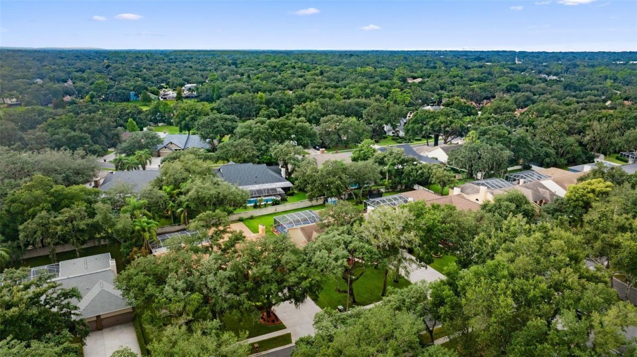2561 Regal River Road, Valrico, FL 33596 Photo