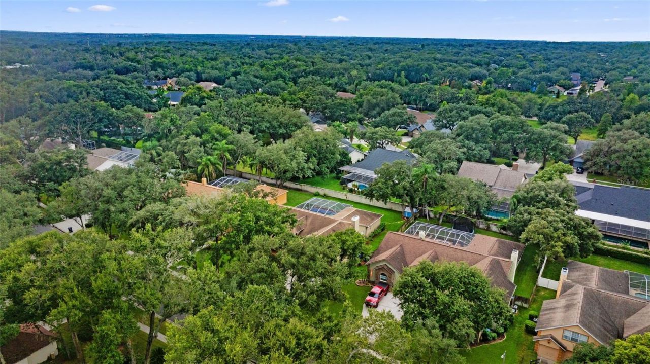2561 Regal River Road, Valrico, FL 33596 Photo