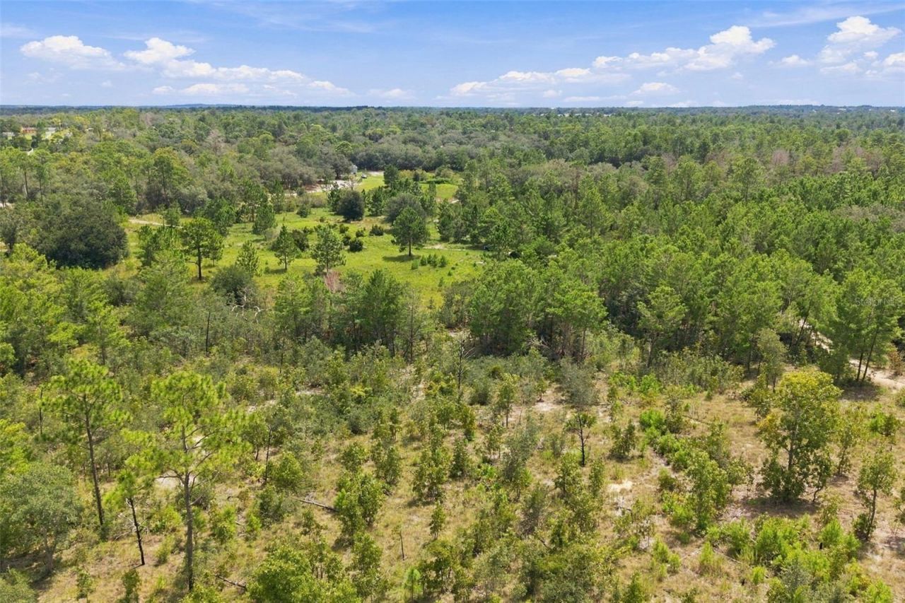 0 Seely Lane , Weeki Wachee, FL 34613 Photo