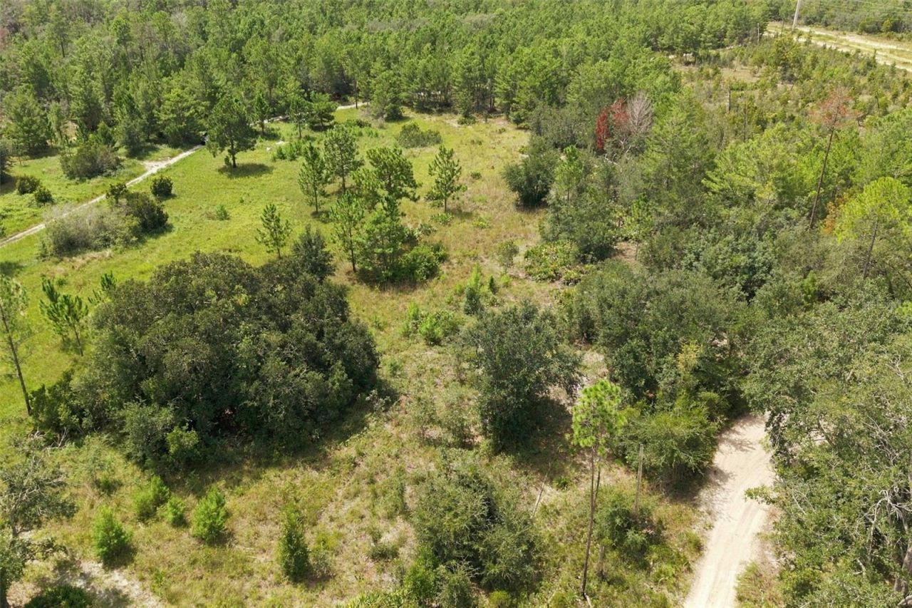 0 Seely Lane , Weeki Wachee, FL 34613 Photo