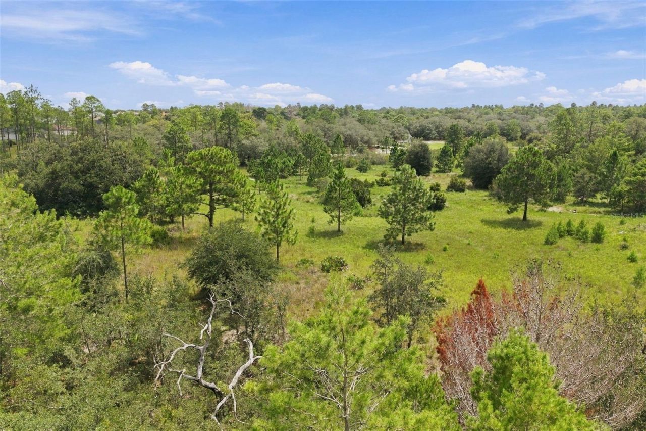0 Seely Lane , Weeki Wachee, FL 34613 Photo