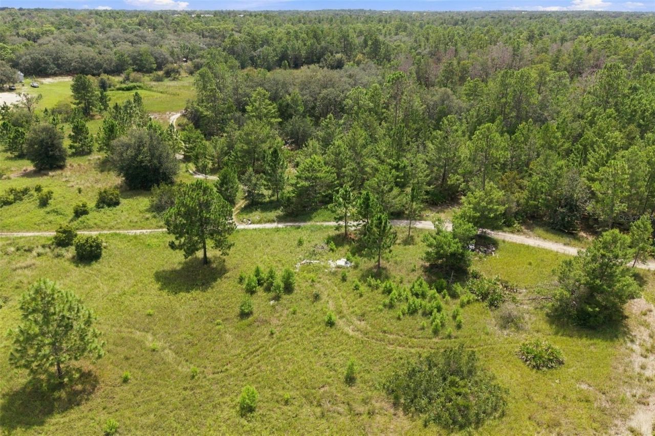 0 Seely Lane , Weeki Wachee, FL 34613 Photo
