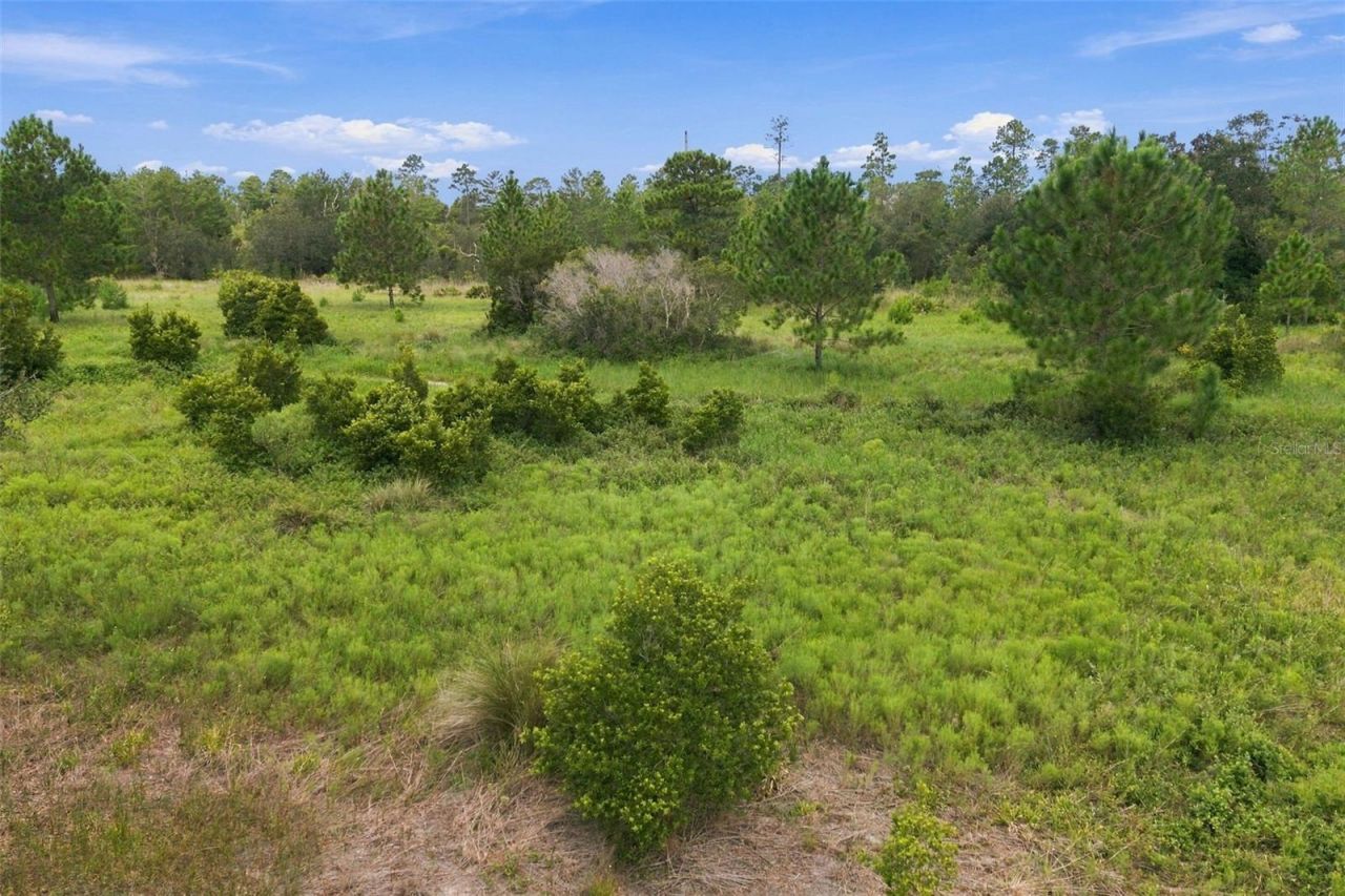 0 Seely Lane , Weeki Wachee, FL 34613 Photo