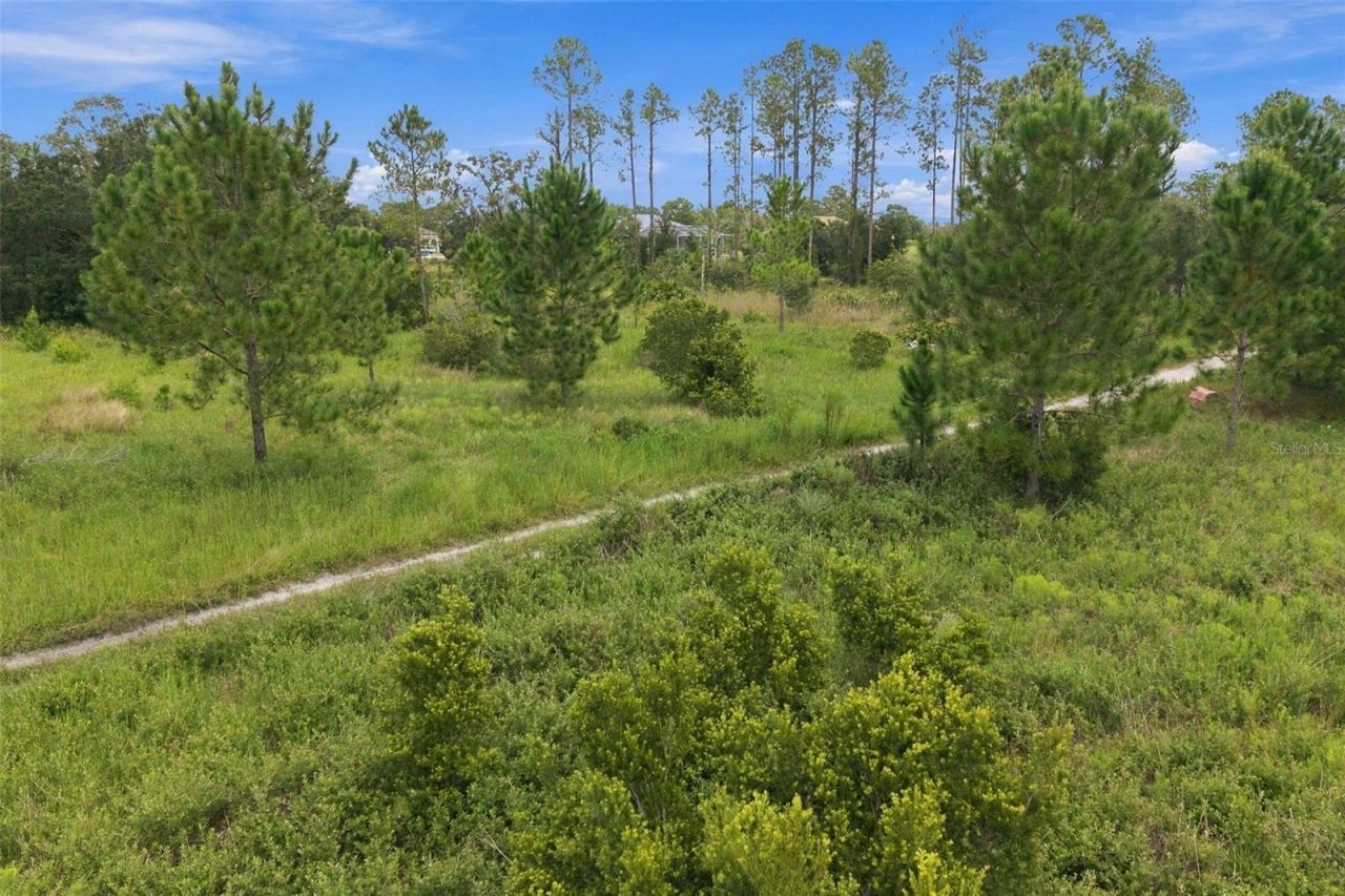 0 Seely Lane , Weeki Wachee, FL 34613 Photo