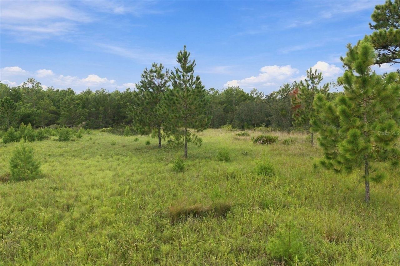 0 Seely Lane , Weeki Wachee, FL 34613 Photo