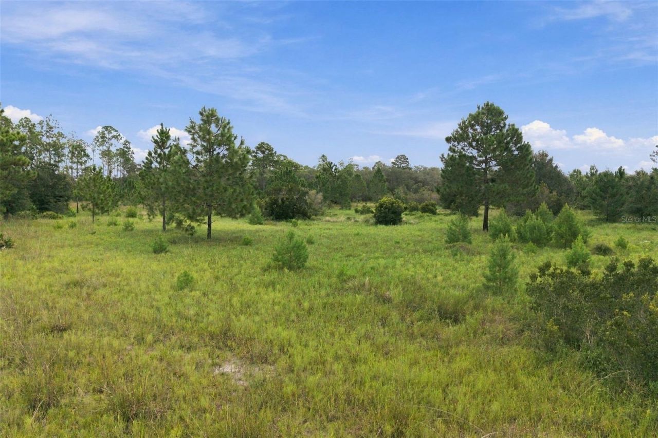 0 Seely Lane , Weeki Wachee, FL 34613 Photo