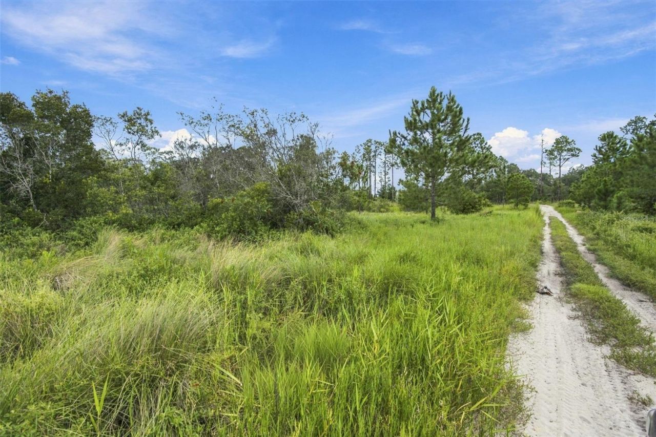 0 Seely Lane , Weeki Wachee, FL 34613 Photo