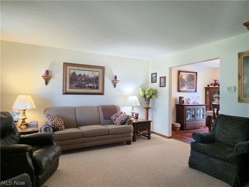 115 N Crestview Drive, Creston, OH 44217 Photo 5