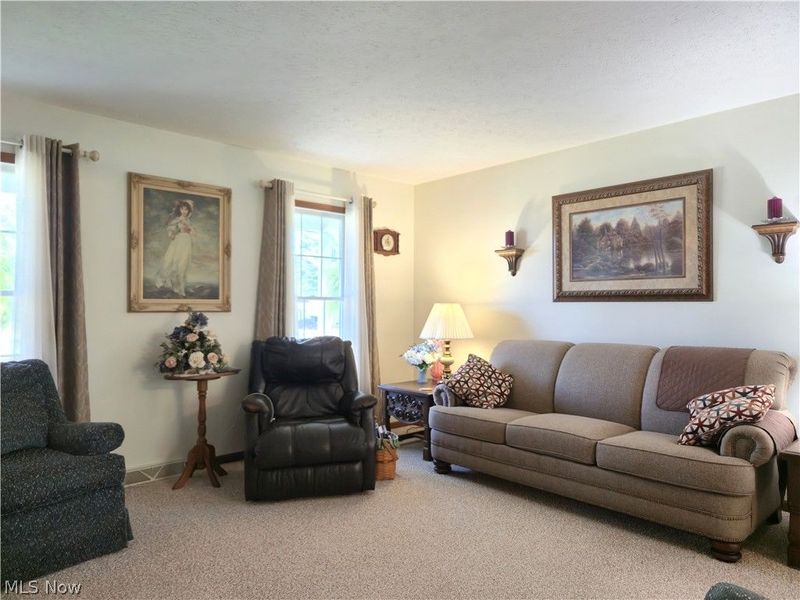 115 N Crestview Drive, Creston, OH 44217 Photo 6