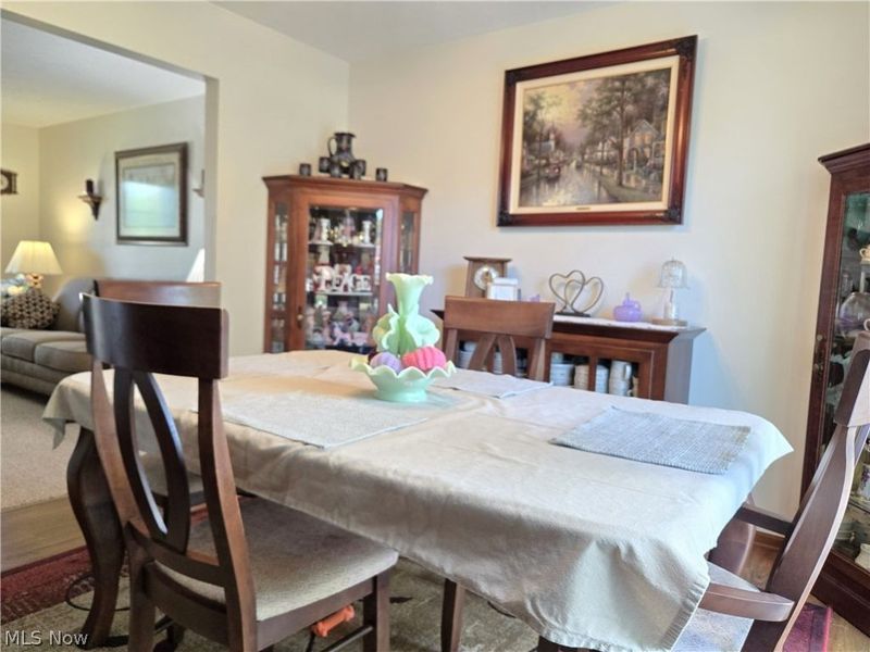 115 N Crestview Drive, Creston, OH 44217 Photo 9